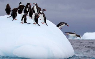 Antarctica Classic in Depth